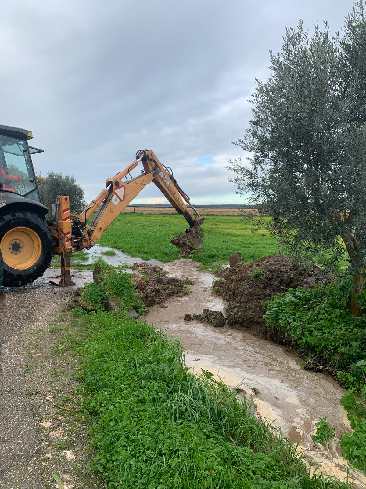 Imagem Mensagem do Sr. Presidente