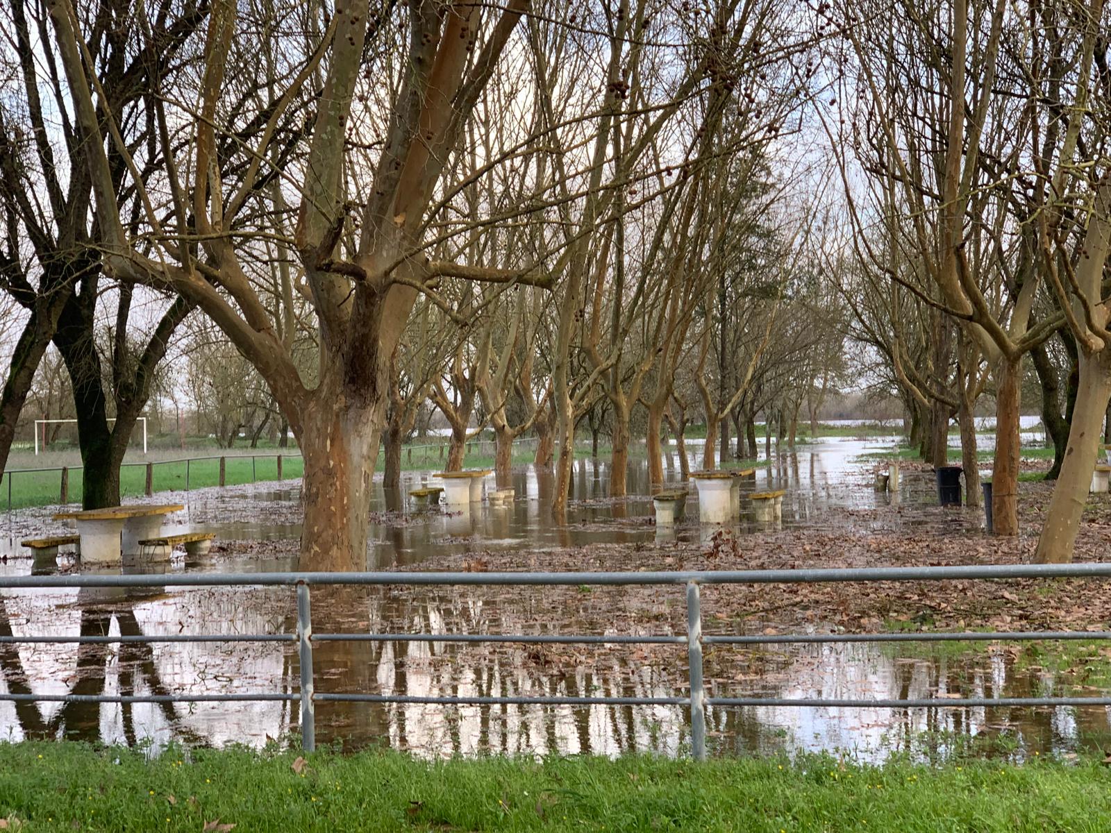 Imagem Atualização